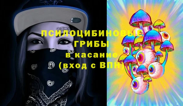 PSILOCYBIN Абаза