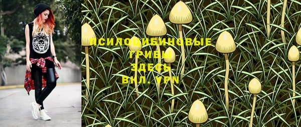 гидра Абдулино